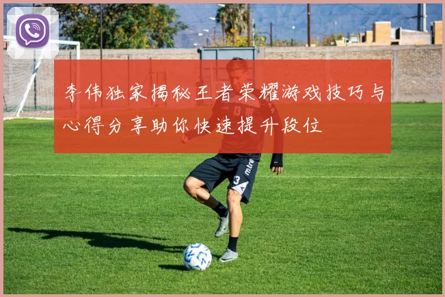 李伟独家揭秘王者荣耀游戏技巧与心得分享助你快速提升段位