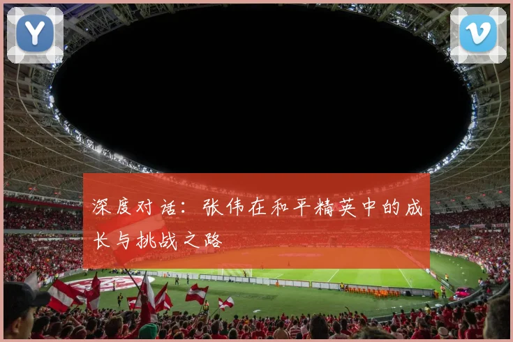 深度对话：张伟在和平精英中的成长与挑战之路