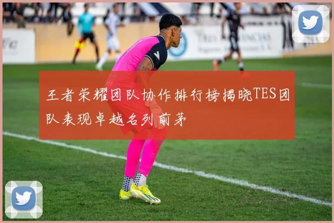 王者荣耀团队协作排行榜揭晓TES团队表现卓越名列前茅